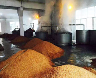 純糧酒工藝-發(fā)酵